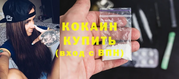 крисы Пересвет