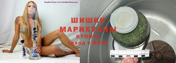 крисы Пересвет