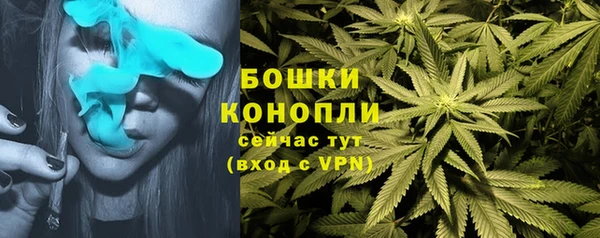 крисы Пересвет