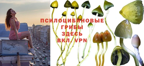 прущая мука Пестово