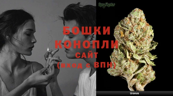 дмт Переславль-Залесский