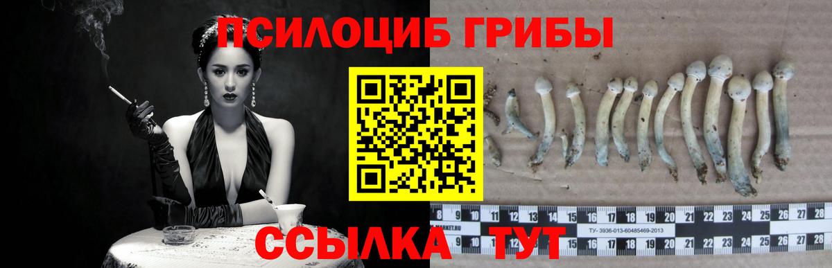 Псилоцибиновые грибы GOLDEN TEACHER  Вход с VPN  Раменское  Галлюциногенные грибы прущие грибы 