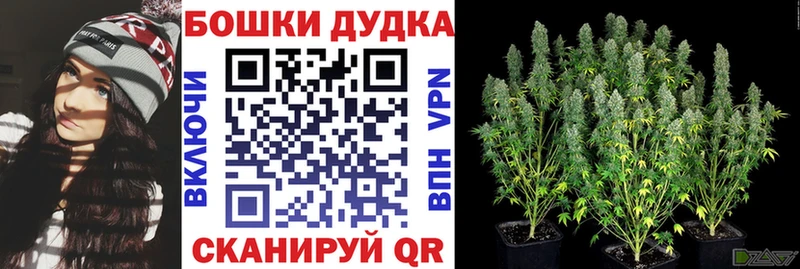 Конопля индика  купить наркотик  Раменское 